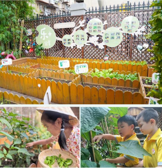 北湖幼儿园抓牢关键阶段K8凯发武汉市江汉区(图1)