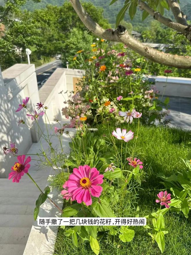 降级”后我还愿意在哪些地方花钱凯发k8一触即发聊一聊“消费(图19)